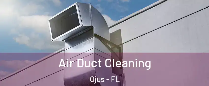  Air Duct Cleaning Ojus - FL