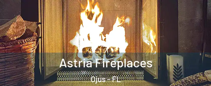  Astria Fireplaces Ojus - FL