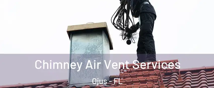  Chimney Air Vent Services Ojus - FL