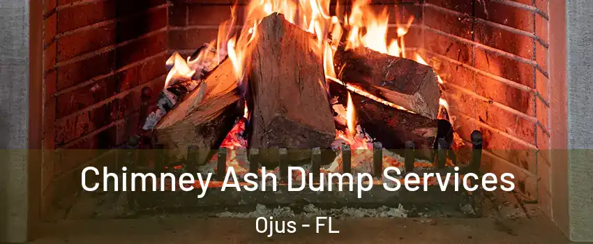 Chimney Ash Dump Services Ojus - FL