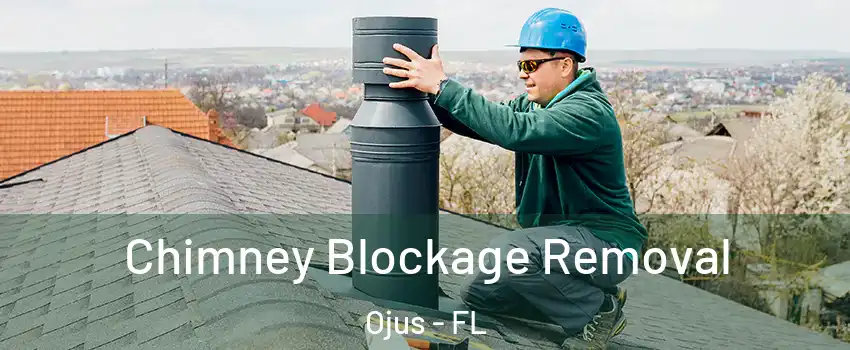  Chimney Blockage Removal Ojus - FL