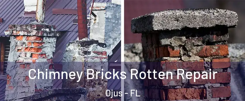  Chimney Bricks Rotten Repair Ojus - FL