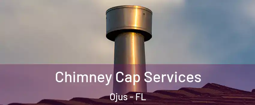  Chimney Cap Services Ojus - FL
