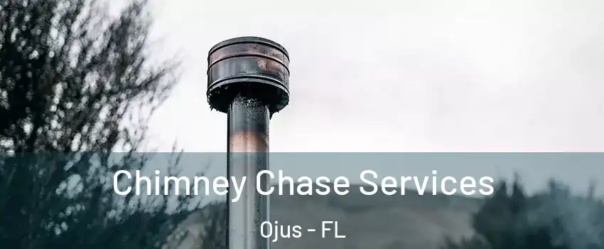  Chimney Chase Services Ojus - FL