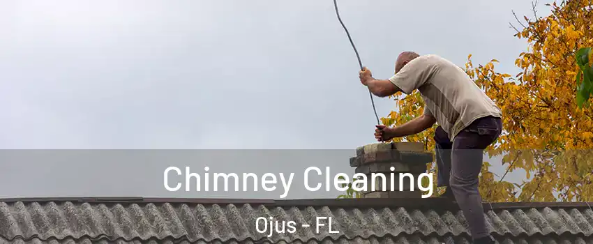  Chimney Cleaning Ojus - FL