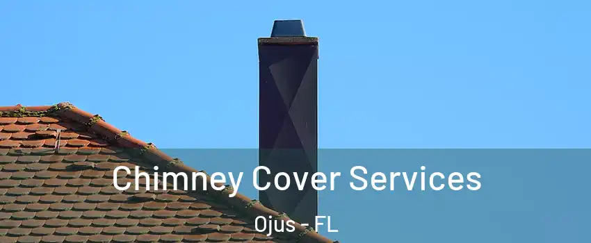  Chimney Cover Services Ojus - FL