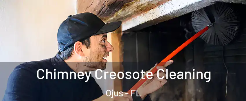  Chimney Creosote Cleaning Ojus - FL