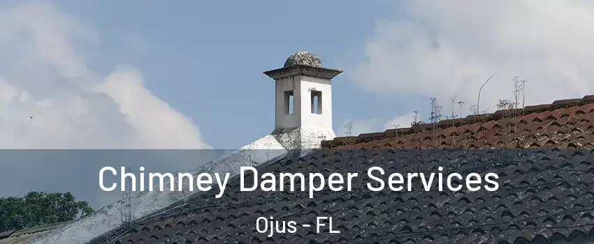  Chimney Damper Services Ojus - FL