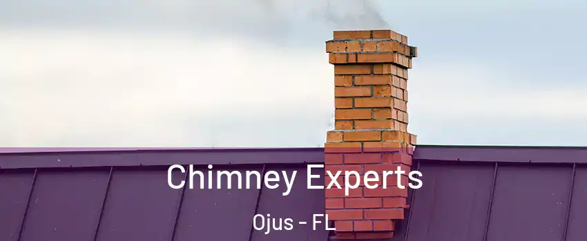  Chimney Experts Ojus - FL