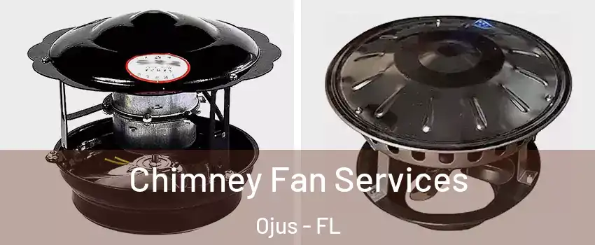  Chimney Fan Services Ojus - FL