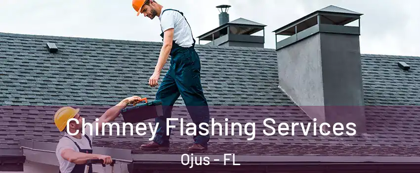  Chimney Flashing Services Ojus - FL