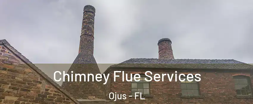  Chimney Flue Services Ojus - FL