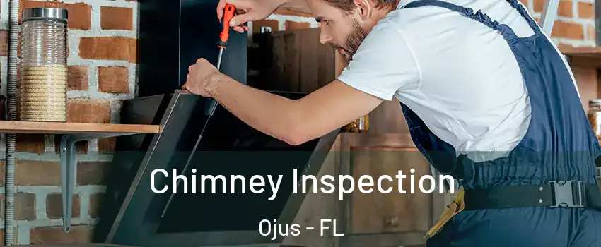  Chimney Inspection Ojus - FL