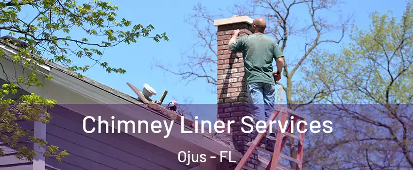  Chimney Liner Services Ojus - FL