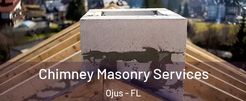  Chimney Masonry Services Ojus - FL