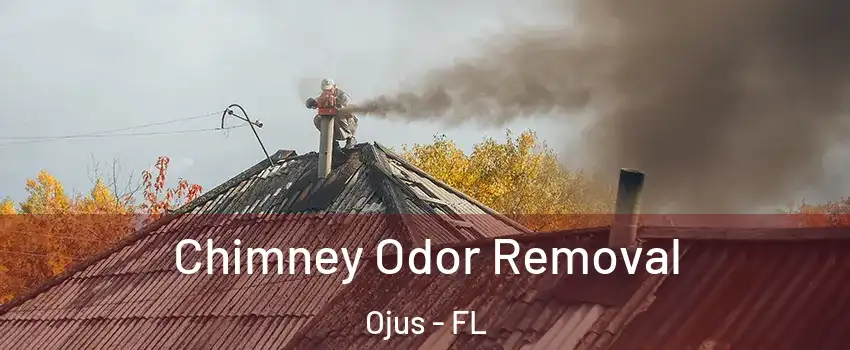  Chimney Odor Removal Ojus - FL