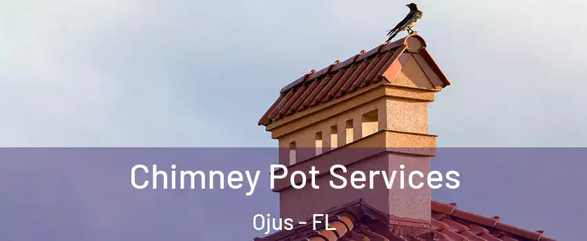  Chimney Pot Services Ojus - FL