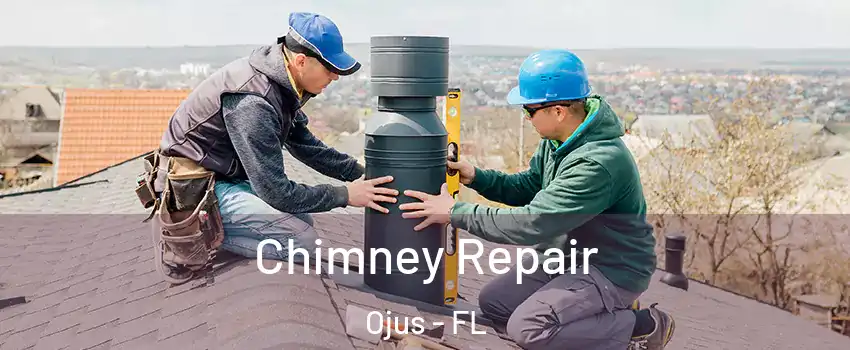  Chimney Repair Ojus - FL