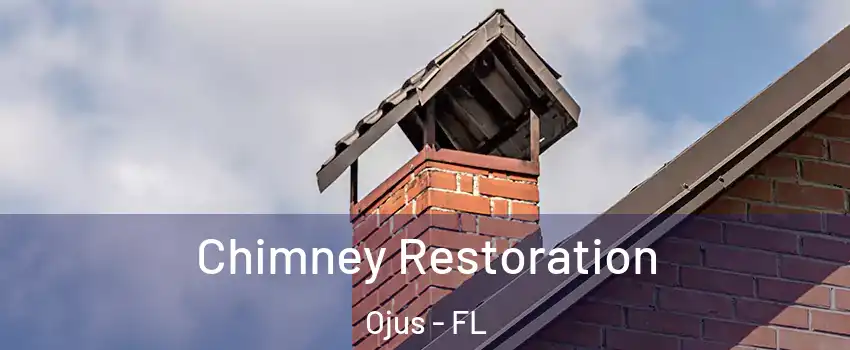  Chimney Restoration Ojus - FL