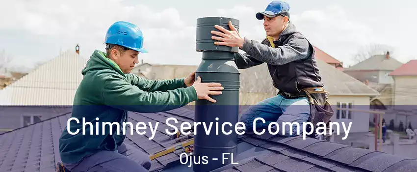  Chimney Service Company Ojus - FL