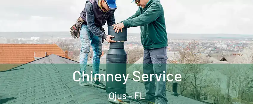  Chimney Service Ojus - FL