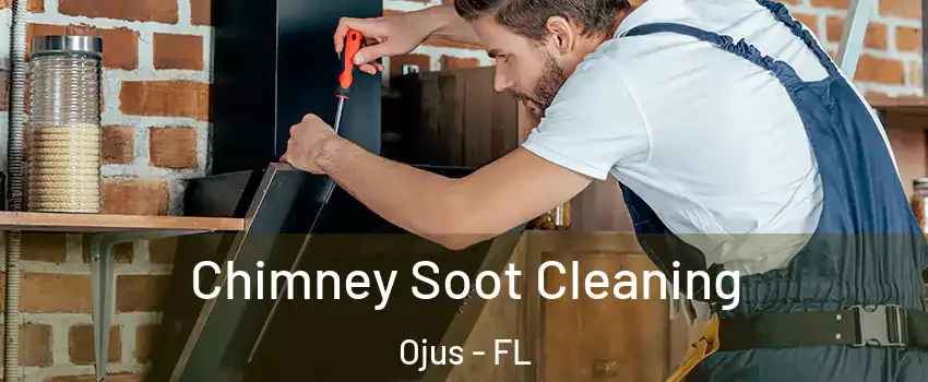  Chimney Soot Cleaning Ojus - FL