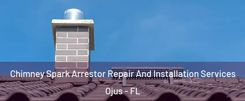  Chimney Spark Arrestor Repair And Installation Services Ojus - FL