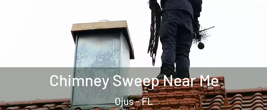  Chimney Sweep Near Me Ojus - FL