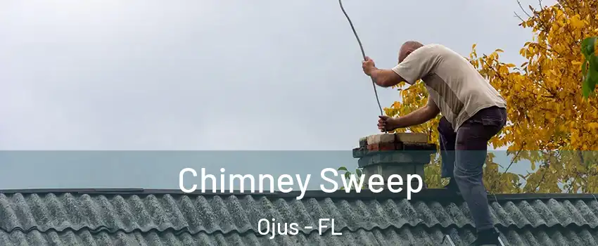  Chimney Sweep Ojus - FL
