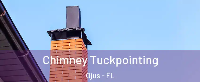  Chimney Tuckpointing Ojus - FL