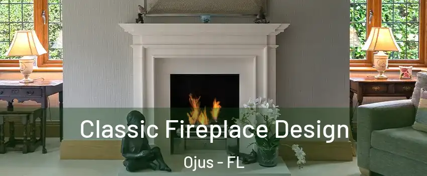  Classic Fireplace Design Ojus - FL