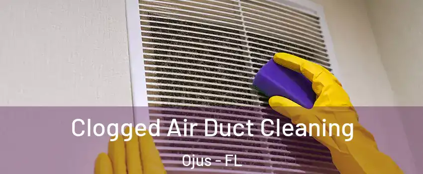  Clogged Air Duct Cleaning Ojus - FL