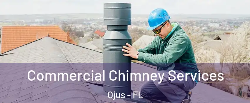  Commercial Chimney Services Ojus - FL