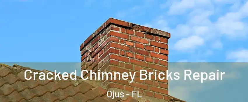  Cracked Chimney Bricks Repair Ojus - FL