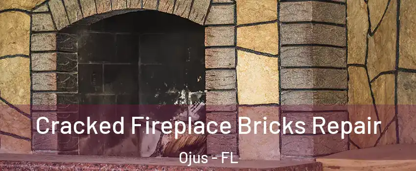  Cracked Fireplace Bricks Repair Ojus - FL