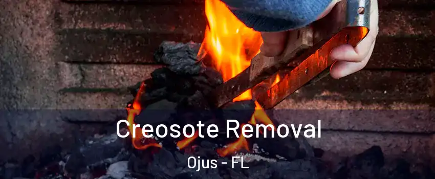  Creosote Removal Ojus - FL