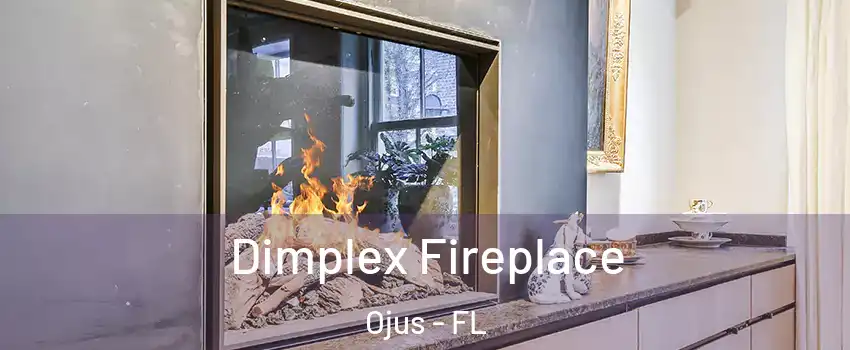  Dimplex Fireplace Ojus - FL