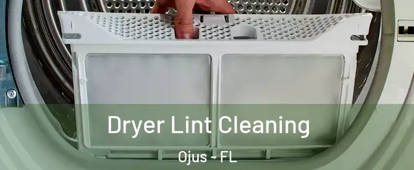  Dryer Lint Cleaning Ojus - FL