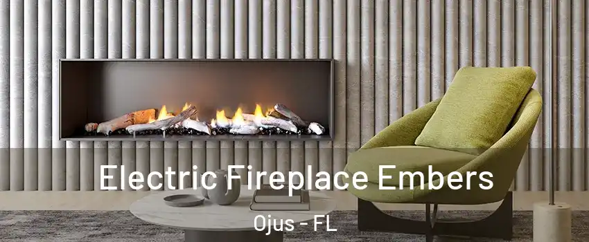  Electric Fireplace Embers Ojus - FL