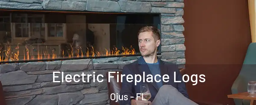  Electric Fireplace Logs Ojus - FL