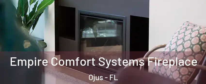  Empire Comfort Systems Fireplace Ojus - FL