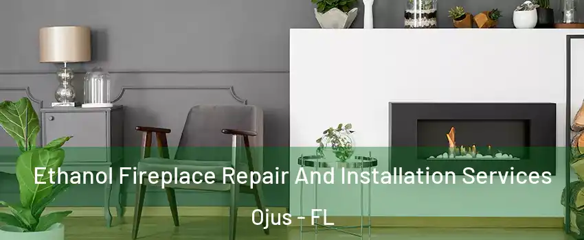  Ethanol Fireplace Repair And Installation Services Ojus - FL
