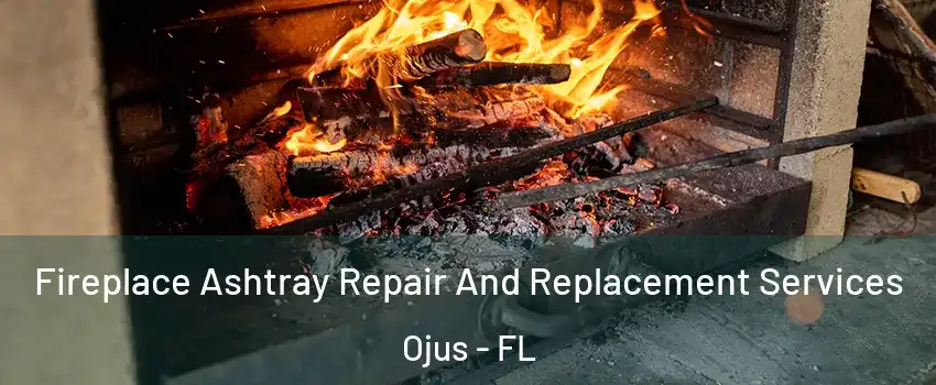  Fireplace Ashtray Repair And Replacement Services Ojus - FL
