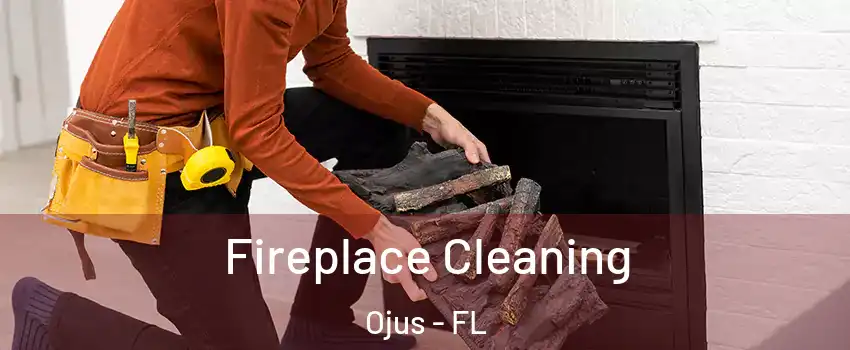  Fireplace Cleaning Ojus - FL