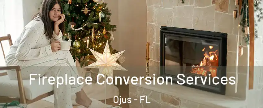  Fireplace Conversion Services Ojus - FL