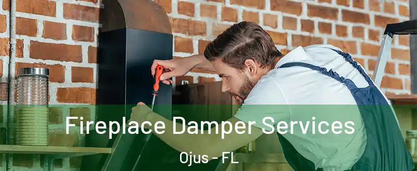  Fireplace Damper Services Ojus - FL
