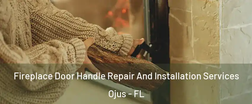  Fireplace Door Handle Repair And Installation Services Ojus - FL