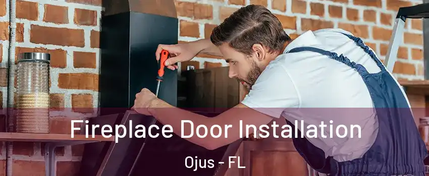 Fireplace Door Installation Ojus - FL