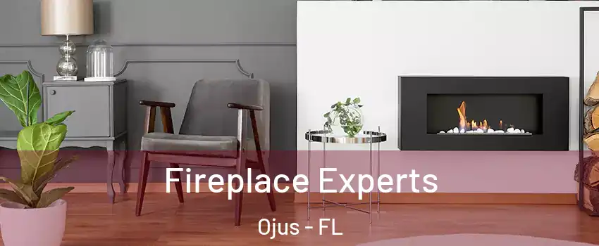  Fireplace Experts Ojus - FL