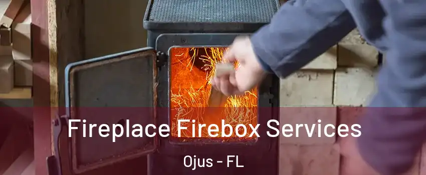  Fireplace Firebox Services Ojus - FL